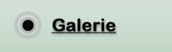 Galerie